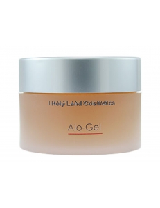 Holy Land Alo-Gel 250ml